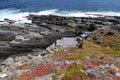 Flinders chase national park Royalty Free Stock Photo