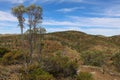 Flinders Ranges, Australia Royalty Free Stock Photo