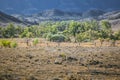 Flinders Ranges Australia