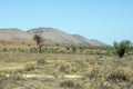 Flinders` Ranges, South Australia, Australia Royalty Free Stock Photo