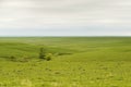 Flint Hills of Kansas Royalty Free Stock Photo