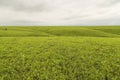 Flint Hills of Kansas