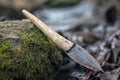 Flint knife - stone age tool leaf blade in deer antler Royalty Free Stock Photo