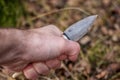 Flint knife - stone age tool leaf blade in deer antler Royalty Free Stock Photo