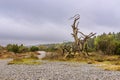 Flintstone field on the island Ruegen, Germany