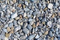 Flintstone Field on Ruegen,Germany