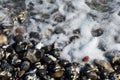 Flintstone pebbles at beach