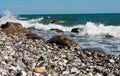 Flintstone pebbles at beach