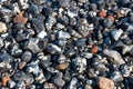 Flintstone pebbles at beach