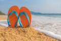 Flip-flop on the beach Royalty Free Stock Photo