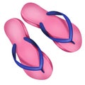 Flip-Flop Royalty Free Stock Photo
