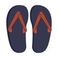 Flip flop sandals Royalty Free Stock Photo