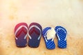Flip-flop sandals on the Dead Sea beach Royalty Free Stock Photo
