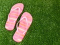 Flip Flop Sandals on Grass Spring Summer