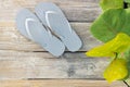 Flip Flop sandals set out on a sunny beach side boardwalk. Close up Royalty Free Stock Photo