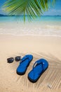 Flip flop sandals and sunglasses on the beach with leaf of palm tree and blue sea in backgrounds. Holidays travel concept Royalty Free Stock Photo