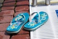 Flip-flops Royalty Free Stock Photo