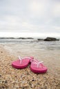 Flip-Flops on the beach Royalty Free Stock Photo