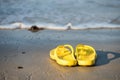 flip flops on beach at sunny day Royalty Free Stock Photo