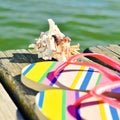 Flip-flops and conch on a wooden pier Royalty Free Stock Photo