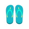 Flip flops flat style vector illustration. Beach shoes illustration. Royalty Free Stock Photo