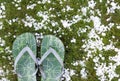 Flip-flops after hailstorm Royalty Free Stock Photo