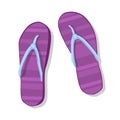 Flip Flops Icon Summer Slippers Foot Wear Royalty Free Stock Photo