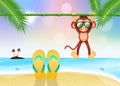 Flip flops and monkey on the beach