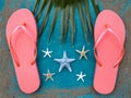 Flip-flops, palm leaf and seafish on aquamarine background