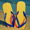 Flip-flops on the sand of a beach Royalty Free Stock Photo