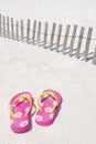 Flip flops on sand dune Royalty Free Stock Photo