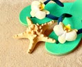 Flip Flops in the sand with starfish . Summertime. beach concept. Royalty Free Stock Photo