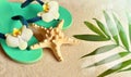 Flip Flops in the sand with starfish . Summertime. beach concept. Royalty Free Stock Photo