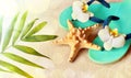 Flip Flops in the sand with starfish . Summertime .beach concept. Royalty Free Stock Photo