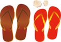 Flip flops and Shell