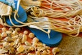 Flip-flops, shells and hammock net on wooden background Royalty Free Stock Photo