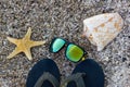 Flip-flops, sunglasses with starfish and shell on the beach. Top Royalty Free Stock Photo