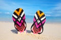 Flipflops. Colorful flipflops in the sand.Summertime and travel.