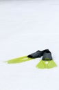 Flippers lying on the snow, conceptual photo