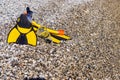 Flippers and snorkeling tube on sea shore Royalty Free Stock Photo