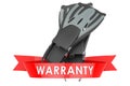 Flippers, swimfins warranty concept. 3D rendering Royalty Free Stock Photo