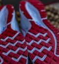 Fresh Start: Shoe sole , spikes , grips of a running shoe Royalty Free Stock Photo