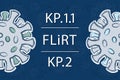 P.1.1 and KP.2 are new COVID-19 variants in the FLiRT family.