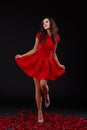 A flirtatious girl in a red dress is standing on the petals of red roses, bending one leg in the knee. Indoors.