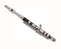 Flite piccolo small flute classical woodwind musical instrument Royalty Free Stock Photo