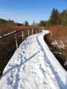 FingerLakesLandTrust wooden walkway through winter wetlands nature preserve Royalty Free Stock Photo