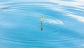Float for catching fish on the surface of water Royalty Free Stock Photo