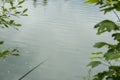 Float cork for fishing on water, in Danube Delta area,  Romania Royalty Free Stock Photo