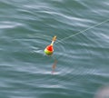 Float for fishing in water Royalty Free Stock Photo