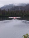 Float plane